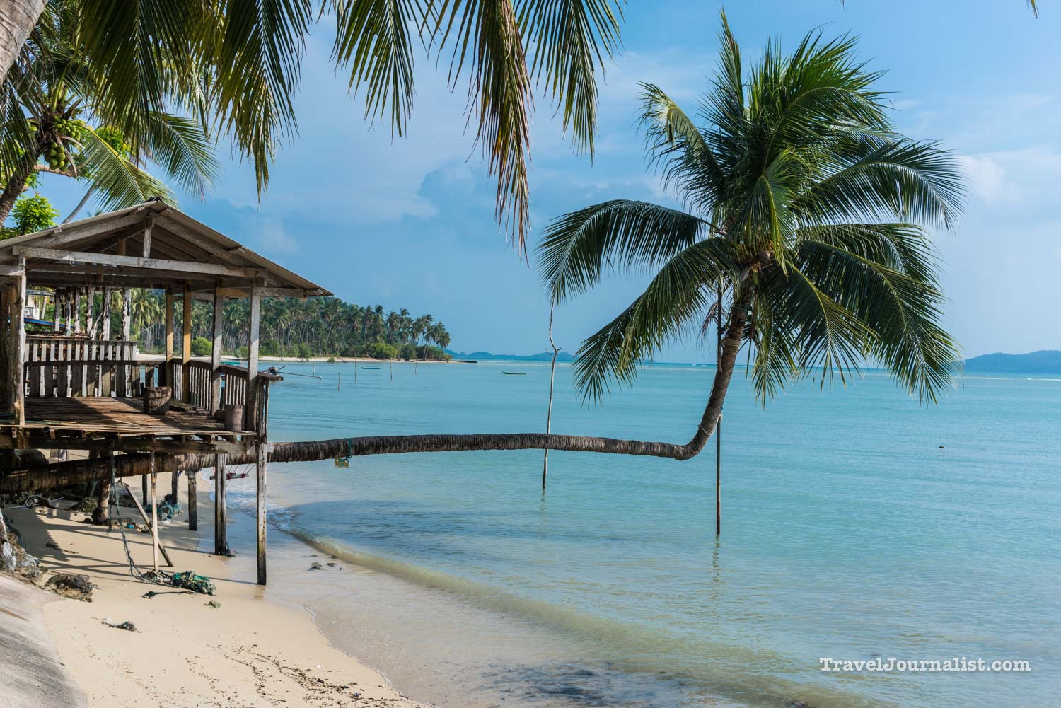 Twisted-Palm-Tree-beach-Koh-Samui-Resort-Thailand